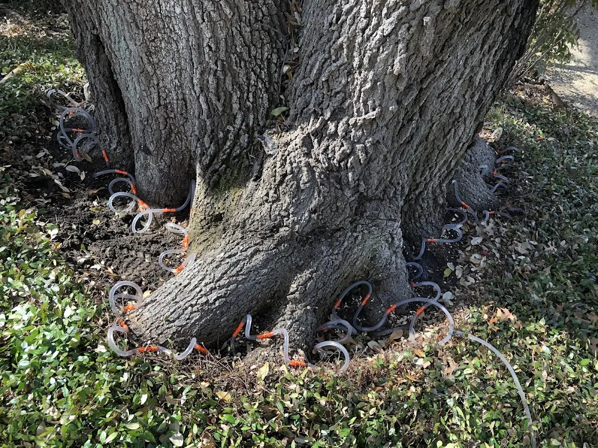 Detailed Shrub and Hedge Trimming job site in Enochs