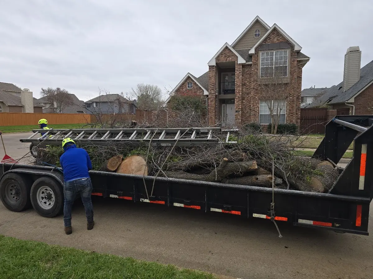 Expert Tree Fertilization with proper safety equipment in Enochs